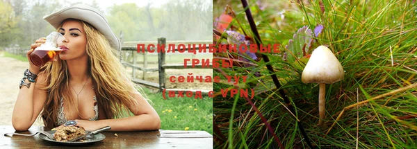 альфа пвп Володарск