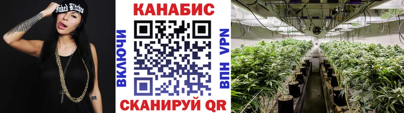 Бошки марихуана гибрид  Элиста 